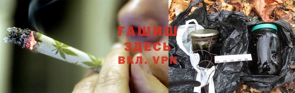 шишки Каменка