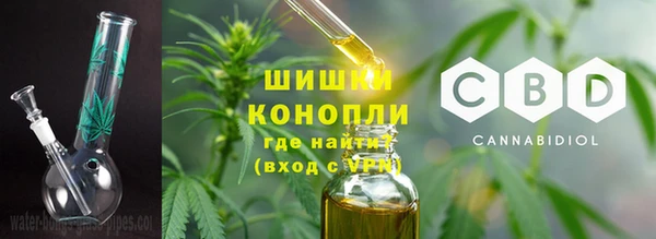 шишки Каменка